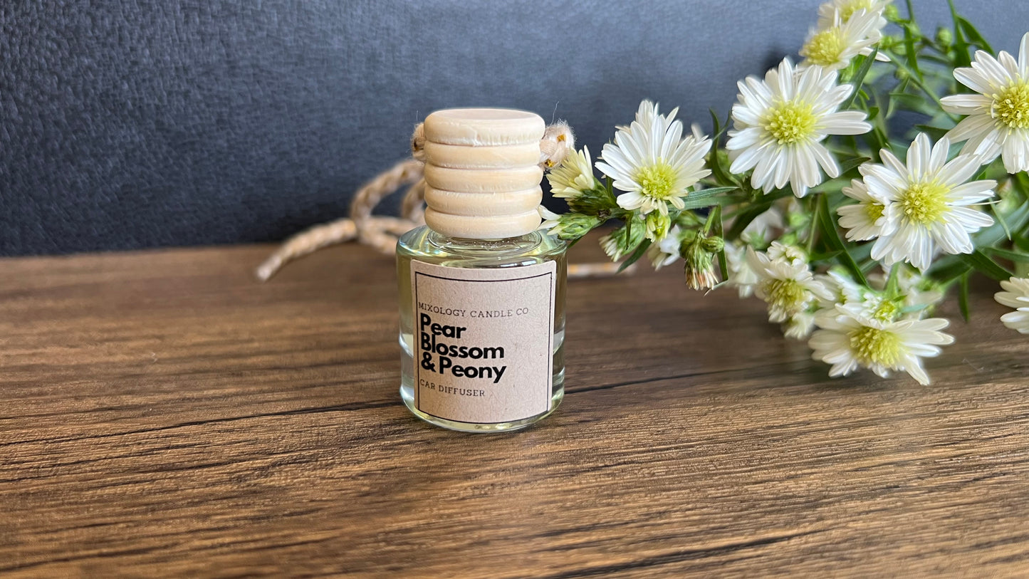 Beautiful Car Diffuser with Rose Quartz