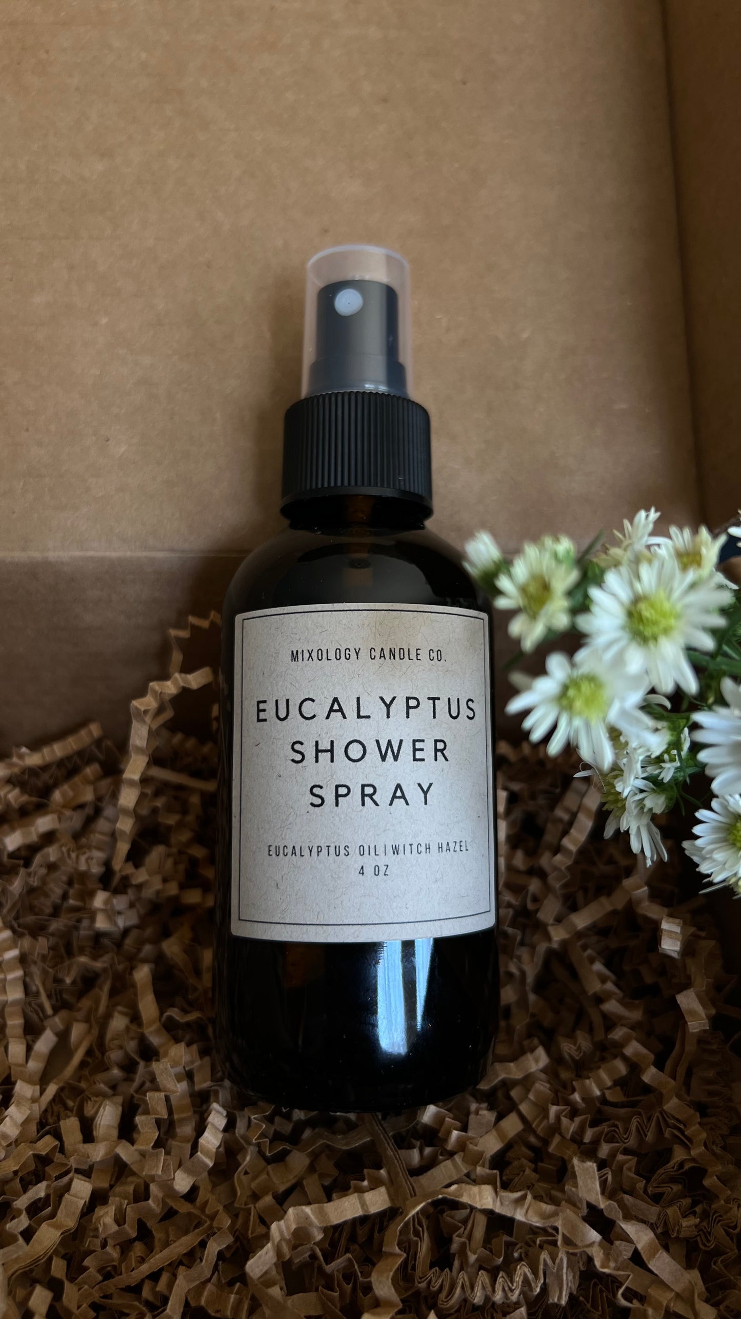 Eucalyptus Shower Spray, Invigorating Aromatherapy Experience, 4 oz
