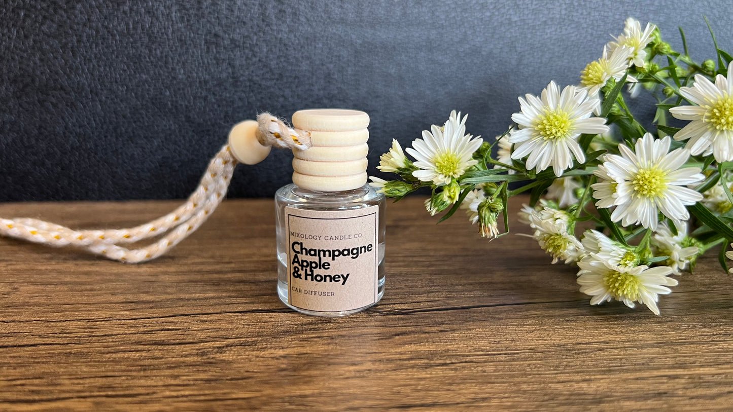 Beautiful Car Diffuser with Rose Quartz